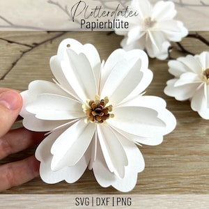 Plotterdatei Blüte, Blume, Papierblume, Frühlingsdeko, Sommerdeko, Schneidedatei SVG, PNG, DXF