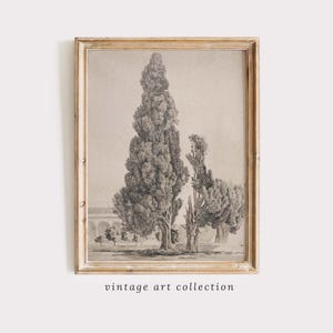Vintage Tree Sketch Prints, Antique Forest Drawing Wall Decor, Neutral Forest Landscape Drawing, Woodland Poster Rustic Room Decor