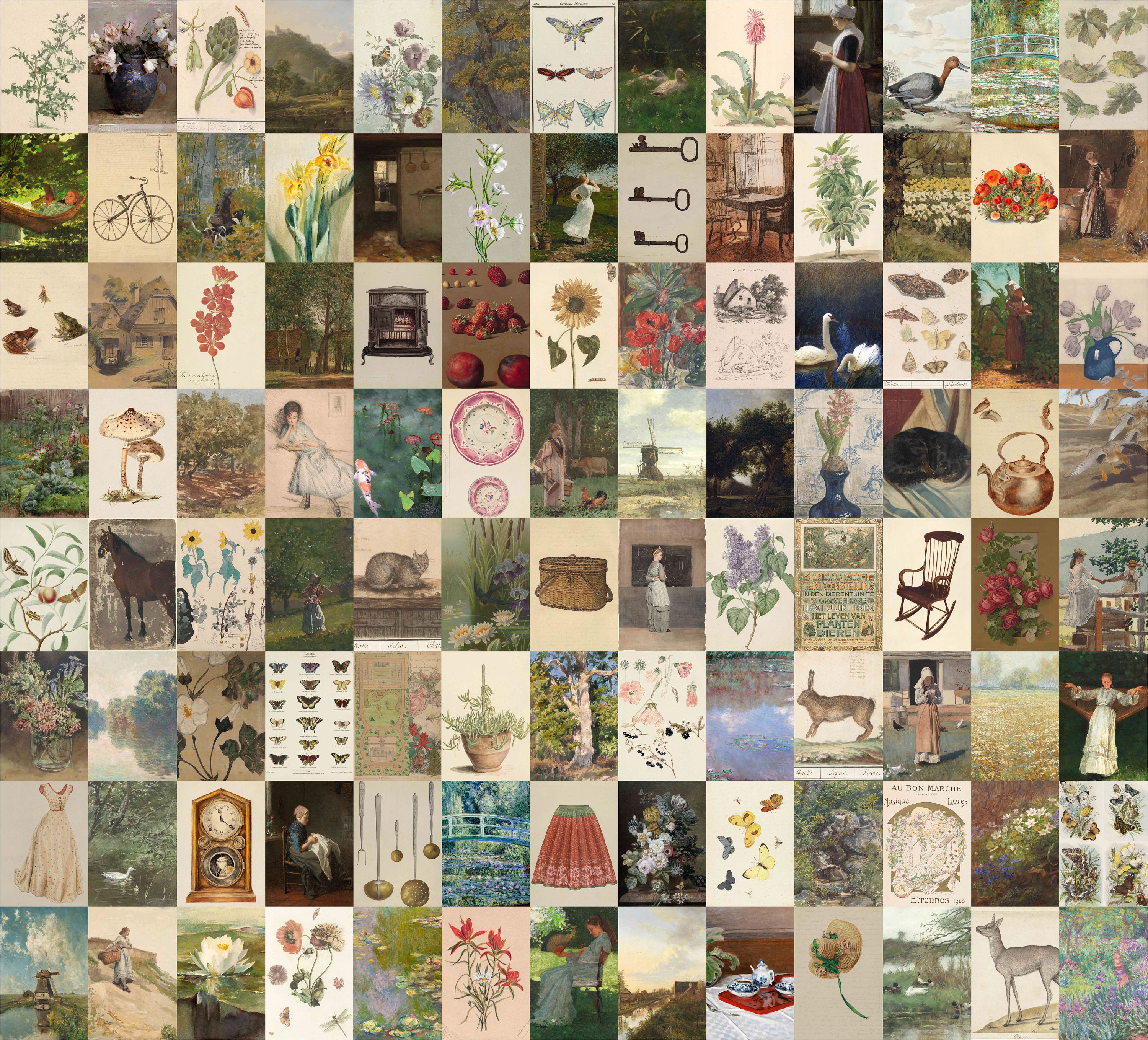 Botanical Collage - Etsy
