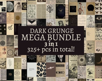 325+ PCS Dark Academia Collage Kit | Gothic Ephemera Photo Set (Digital Download)