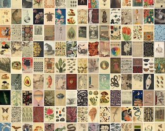 Fairycore Wall Collage Kit: 144 Retro Cottagecore Photos (Digital Download)