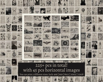 Pode incluir: Uma coleção de ilustrações vintage em preto e branco, com desenhos botânicos, anatómicos e científicos. As imagens têm um tom sépia. O texto diz "225+ pcs in total! with 45 pcs horizontal images". As imagens podem ser impressas em tamanhos como 4x6, 6x9, 8x12, 10x15 e 12x18 polegadas.