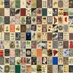 Cottagecore Eclectic Wall Collage Set, Aesthetic Vintage Poster Collage Kit, Botanical Antique Photo Printable Set, 144 PCS DIGITAL DOWNLOAD
