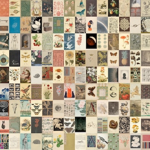 Oude botanische kamerdecoratie, esthetische zachte vintage muurcollagekit, afdrukbare sprookjesfoto&#39;s, vintage cottagecore-muurcollage 144 stuks