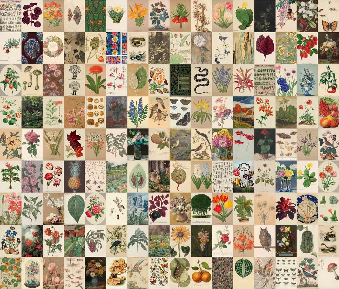 Botanical Wall Collage Kit, Vintage Nature Photos (digital Download) - Etsy