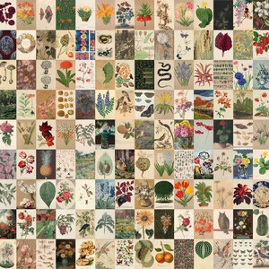 May include: A vintage botanical illustration collage featuring a variety of plants, flowers, and insects. The collage is made up of 100 individual illustrations, each with a unique design. The illustrations are arranged in a grid pattern, and the colors are muted and earthy.