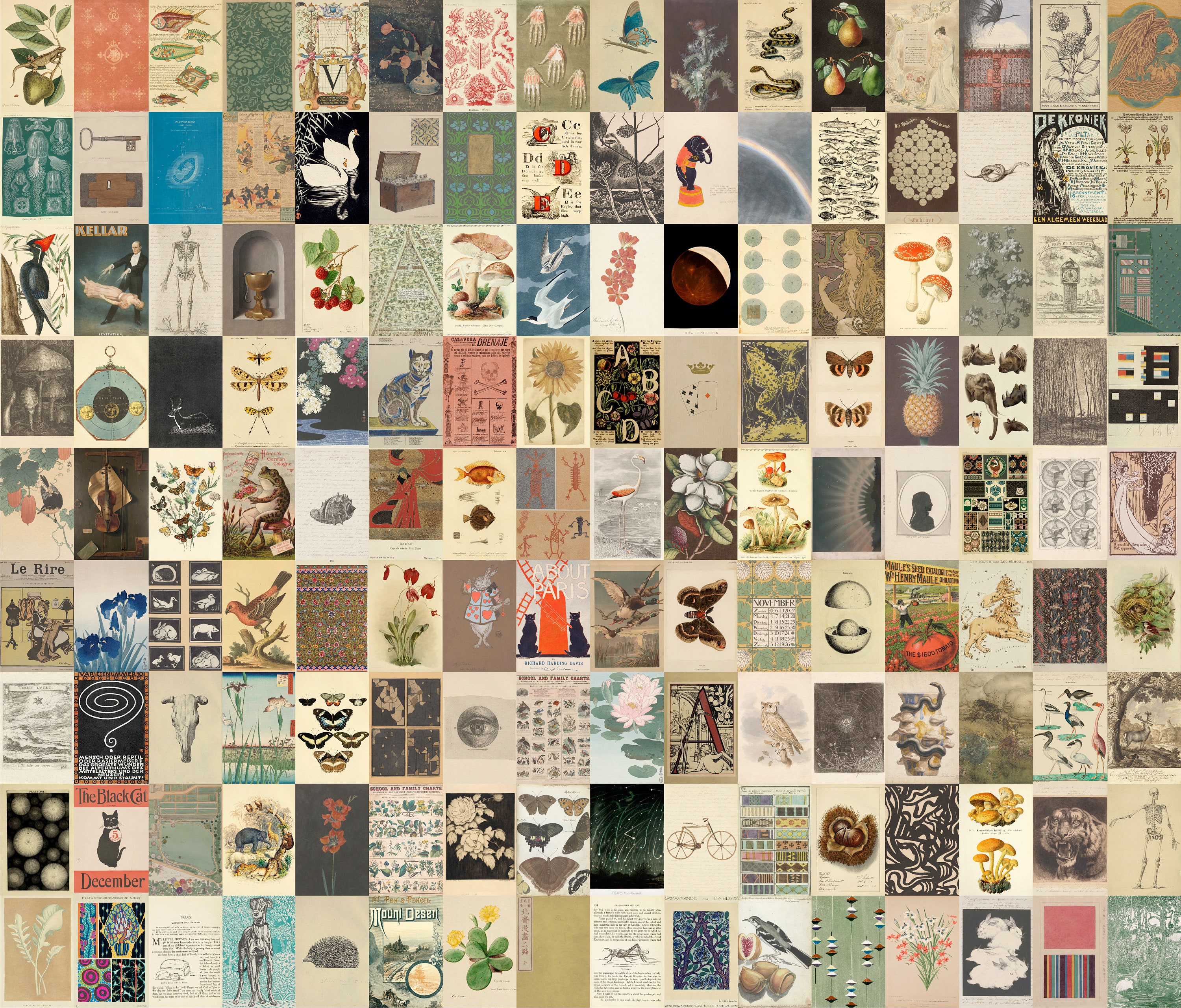 Cottagecore Collage Kit, 575+ Vintage Botanical Ephemera (digital ...