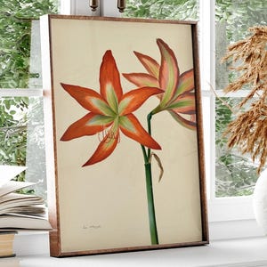 Vintage Botanisches Plakat Kunstdruck der französischen Künstlerin Lise Cloquet aus dem 19