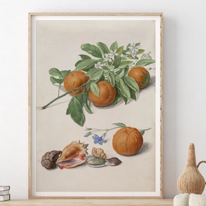 Cartel botánico vintage ilustración de historia natural Impresión de Johann Walter Giclée