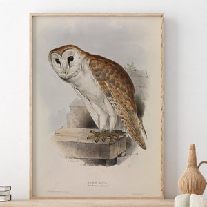 Manifesto di storia naturale vintage del barbagianni John Gould