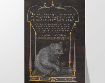 Joris Hoefnagel Sloth Print | Renaissance Illuminated Manuscript | Four Elements | Museum