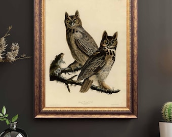 Horned Owl Print – Audubon Plate 61, Natural History Wall Art (Vintage or White Background)