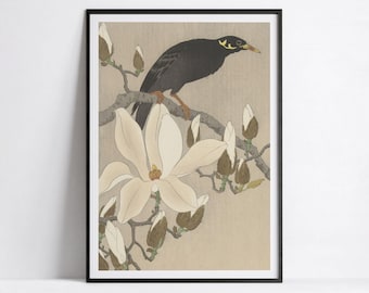 Myna on a Blooming Magnolia Branch – Reproduction of a Woodblock Print by Ohara Koson
