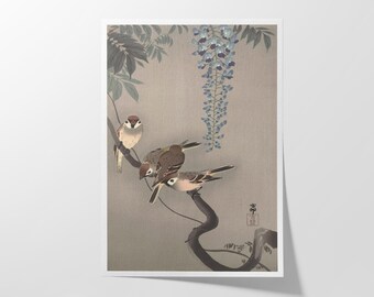 Japanese Woodblock Print – Sparrows near Wisteria by Ohara Koson – Giclée Art Poster