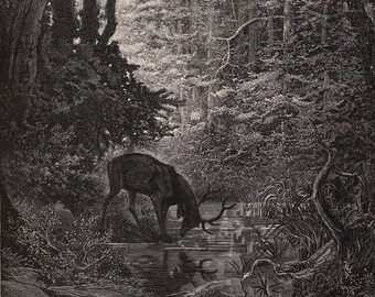 The Stag at the Pool – Gustave Doré Illustration for La Fontaine's Fables