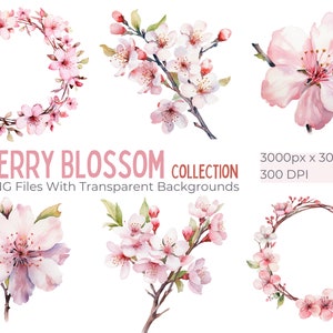 Pacchetto clipart acquerello Cherry Blossom, clipart fiori primaverili ed estivi, clipart PNG botanico acquerello, clipart matrimonio, Sakura rosa