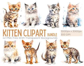 42 gráficos de gatitos de acuarela, paquete de imágenes prediseñadas de raza de gato de acuarela, gatos y gatitos lindos, PNG transparente, clip art de gato, regalo de amante de los gatos