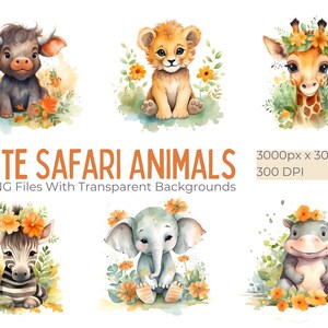 10 simpatici animali Safari Collezione di clipart ad acquerello, PNG trasparenti, Clipart per la scuola materna, Download istantaneo, Clipart ad acquerello, Animali domestici, Artigianato
