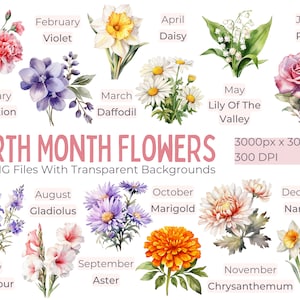 Watercolor Birth Month Flowers Clipart, Watercolor Floral PNG Bundle, Flower Graphic, Botanical Clipart, Commercial Use, Digital Download
