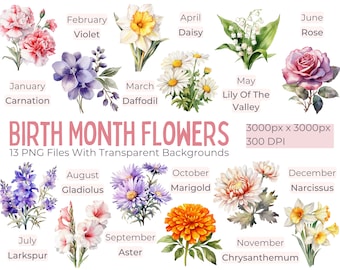 Watercolor Birth Month Flowers Clipart, Watercolor Floral PNG Bundle, Flower Graphic, Botanical Clipart, Commercial Use, Digital Download