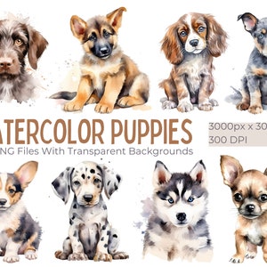 100 aquarelle chiots Clipart, Clipart chien, chiots, chien PNG Bundle, animal de compagnie, Illustrations de race de chien, animaux Clipart, ensemble de graphiques de chiot