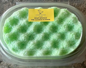 Soap Filled Exfoliating Sponge, Highly Scented, SUMMER/ CITRONELLA With Holder