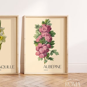 Aubépine Vintage Poster. Vintage Botanischer Druck. Antikes Blumen Poster. Französisches Vintage Kräuter Poster. Vintage Wandkunst. Druckbare Kunst