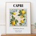 see more listings in the Italy Tile Prints section