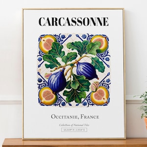 Carcassonne, France, Traditional Tile Pattern with Figs Aesthetic Wall Art Decor Print Poster