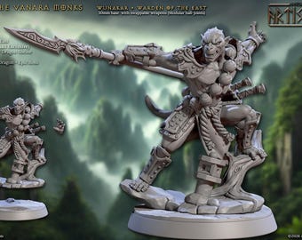 Wunakar, Gardien de l'Est - Figurine de héros - Socle de 30 mm - Impression 3D en résine - Moine pour Donjons et Dragons / Jeu de rôle sur table