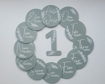 Pastel Baby Milestone Acrylic Disks: 12 Month Set