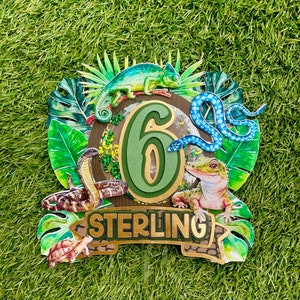 May include: A green and gold cake topper with a number 6, a chameleon, a snake, a lizard, and a turtle. The topper also has a banner that says "STERLING".