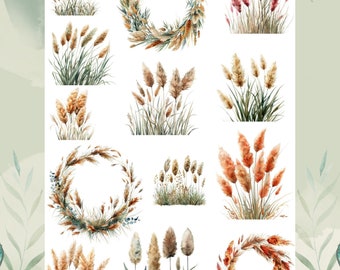 Rub Ons I water slide film pampas grass, A5, transfer sticker, e.g. for Raysin / Keraflott