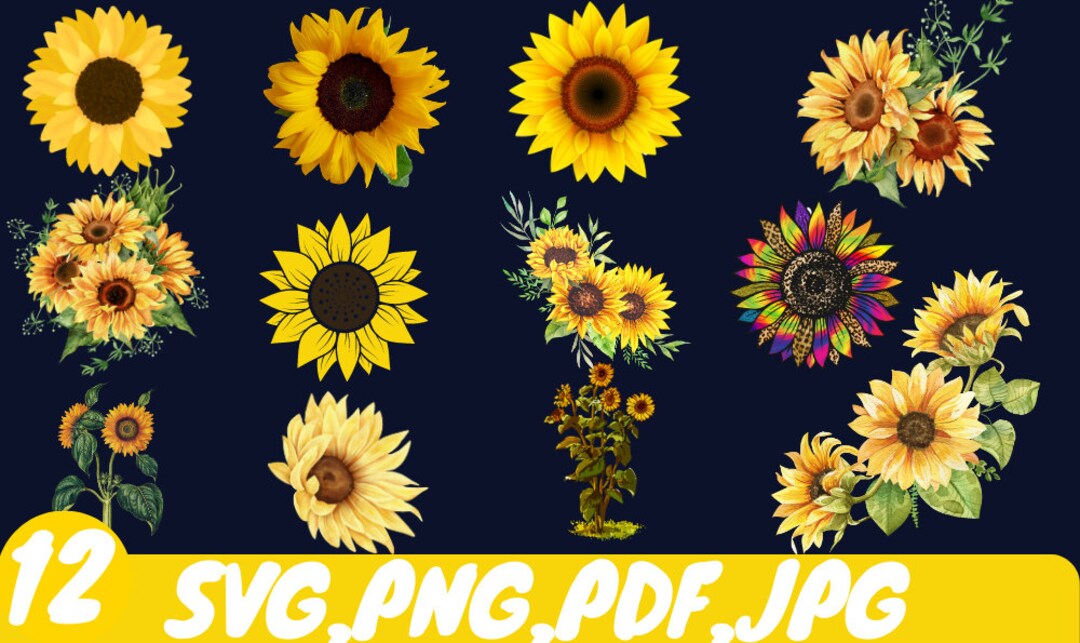 12 Sunflower SVG, Flower Svg, Digital Download, Clipart, Distressed ...