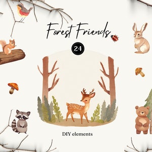 Animaux de la forêt Clipart | Animaux des bois Aquarelle Clipart, Clipart animal d’automne, Animal sauvage PNG | Cerf Renard Hérisson Écureuil Racoon PNG