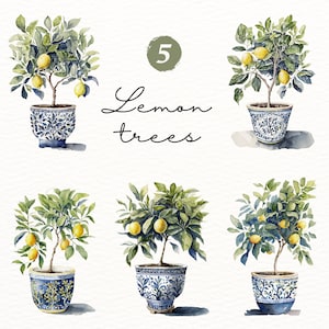 Könnte beinhalten: Fünf Aquarell-Illustrationen von Zitronenbäumen in blau-weißen gemusterten Töpfen. Der Text "5 Lemon trees" ist in schwarzer Kursivschrift geschrieben.