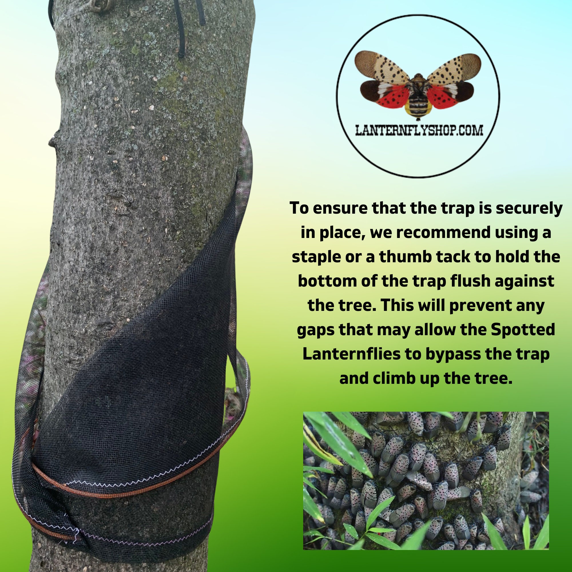Spotted Lanternfly Trap Keep Your Garden Pestfree Etsy
