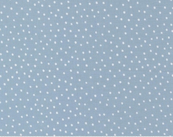 Blossoms and Blooms- Sky- 39056 20- Moda Fabrics by Elena Amo