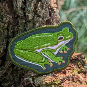 May include: An embroidered patch featuring a bright green frog with a white underbelly and dark brown eyes, set against a dark gray background with a thick, dark green border, showcasing detailed stitching throughout the entire design.