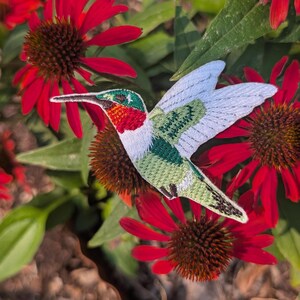 May include: An embroidered patch of a hummingbird with white wings, a green body, and a red throat patch, positioned in front of several vibrant red coneflower blossoms with dark brown centers and green leaves in a natural outdoor setting.