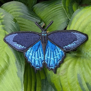 May include: An embroidered butterfly patch featuring a dark navy blue upper wing section and a vibrant bright blue lower wing section. The butterfly has a black embroidered border and black antennae, with light blue stitching details.