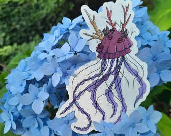 Jellyfish Sticker Vinyl Sticker Clear Backround. Waterproof/Weatherproof.