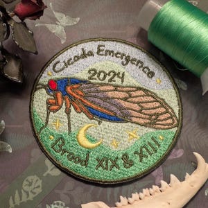 May include: A green, embroidered patch with a cicada, a crescent moon, and stars. The text reads "Cicada Emergence 2024 Brood XIX & XIII".