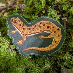 May include: Embroidered patch featuring a salamander design. The salamander is depicted in shades of brown and tan with black spots, set against a dark green background. The patch has a green border and is likely for clothing or accessories.