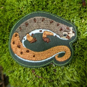 May include: Embroidered patch featuring a salamander design. The patch has a dark green border and background. The salamander is brown and orange with dark spots and a white underbelly. The patch is placed on a bed of green moss.