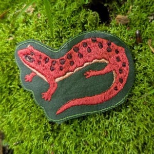 May include: Embroidered patch featuring a red salamander with black spots on a dark green background. The salamander is detailed with tan accents. The patch is set against a backdrop of green moss.