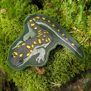 Spotted Salamander 3.3"x4" Patch (Ambystoma maculatum) Embroidered Iron On Patch