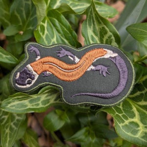 May include: An embroidered patch of a salamander with an orange body and purple limbs on a dark green background.