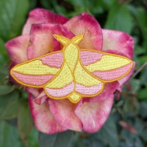 May include: A pink and yellow embroidered moth patch. The moth has a yellow body and pink wings with a yellow border.