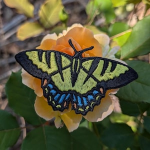 May include: Embroidered butterfly patch with black, yellow, blue, and orange details. The butterfly is set against a soft orange rose, with green leaves in the background. The patch features intricate stitching.